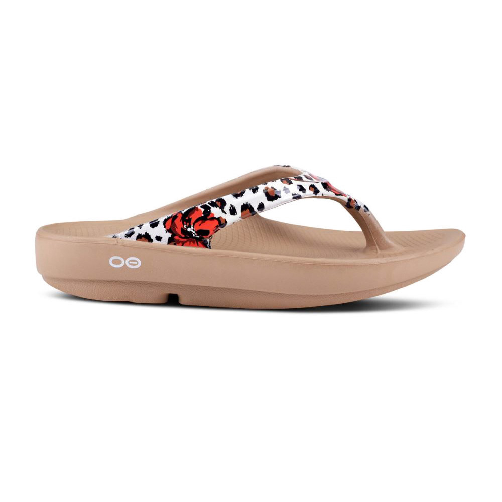 OOFOS OOlala Limited Sandal Leopárd | S0U6IV1