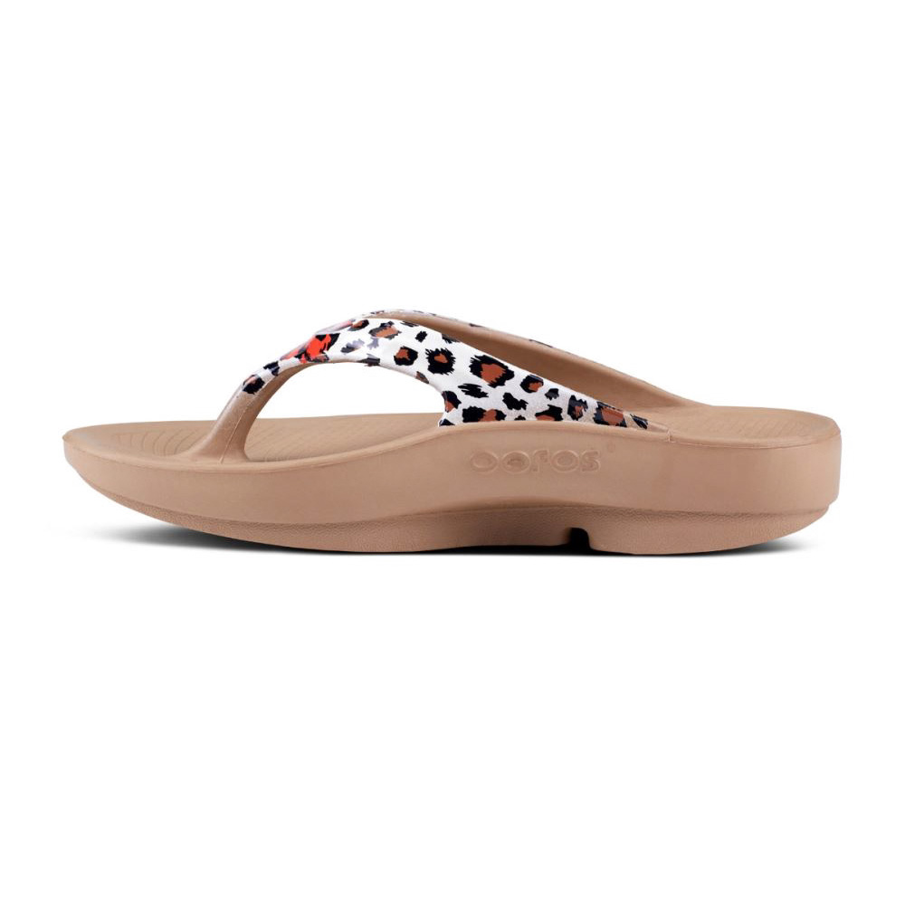 OOFOS OOlala Limited Sandal Leopárd | S0U6IV1