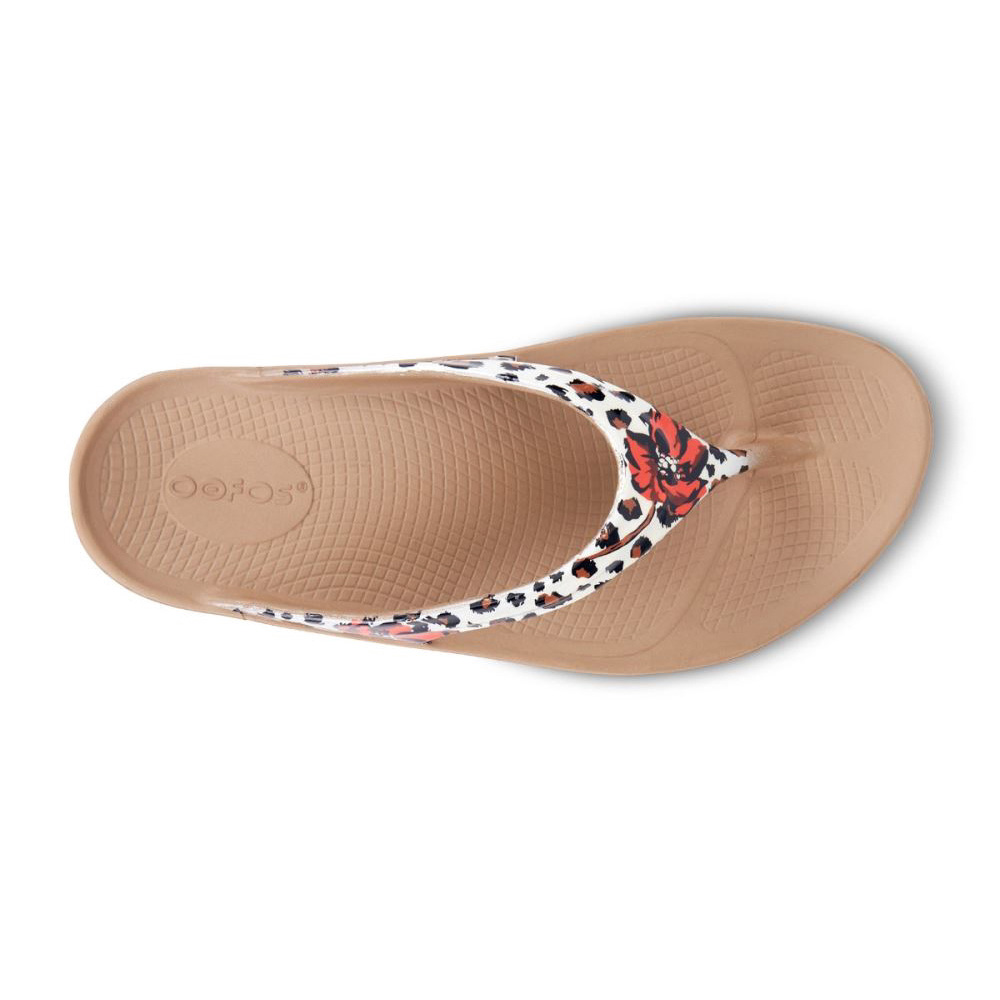 OOFOS OOlala Limited Sandal Leopárd | S0U6IV1