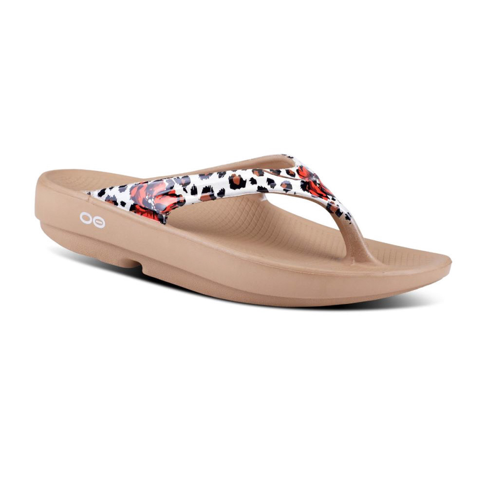 OOFOS OOlala Limited Sandal Leopárd | S0U6IV1