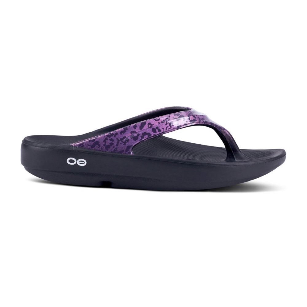 OOFOS OOlala Limited Sandal Lila Leopárd | 3TC7Y9K