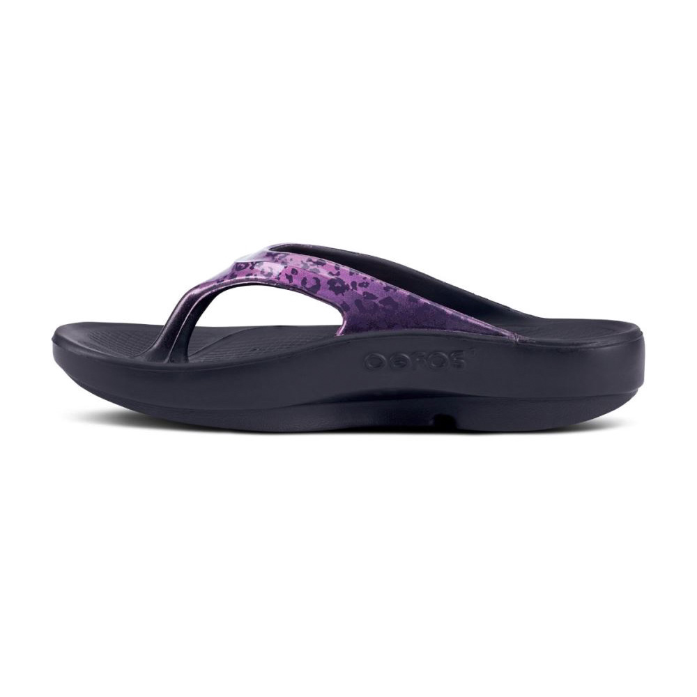 OOFOS OOlala Limited Sandal Lila Leopárd | 3TC7Y9K